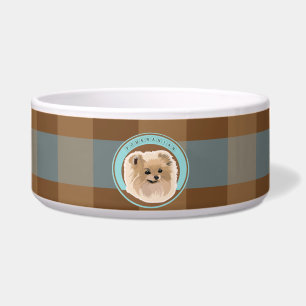 Dog Pomeranian
