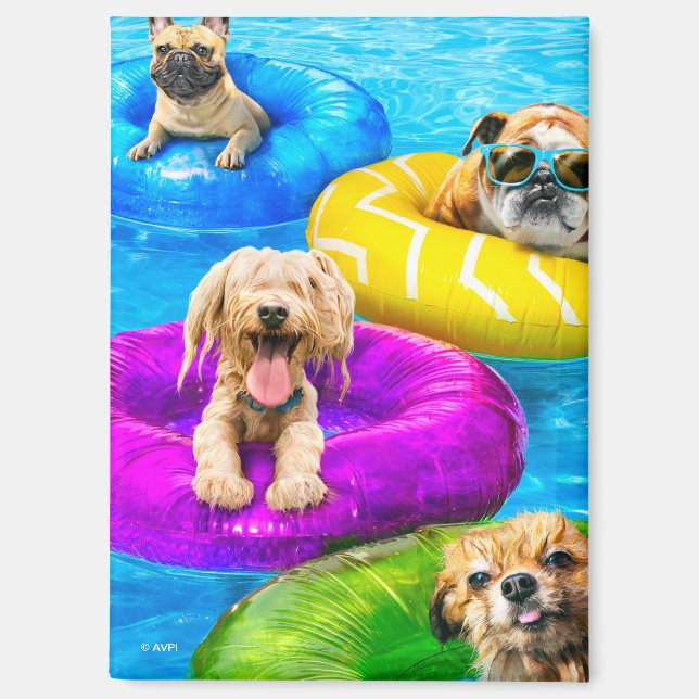 Dog Pool Party Magnet (Front)