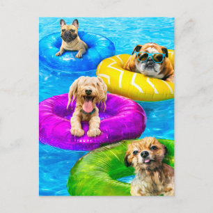 Dog Pool Party Postcard