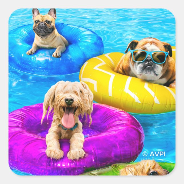 Dog Pool Party Square Sticker (Front)