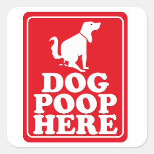 Dog Poop Here Square Sticker