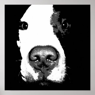 Dog pop art poster