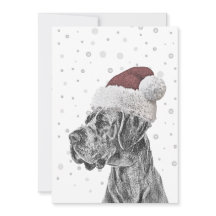 Dog Portrait and Paw Print Christmas Cards