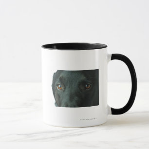Dog portrait close up mug