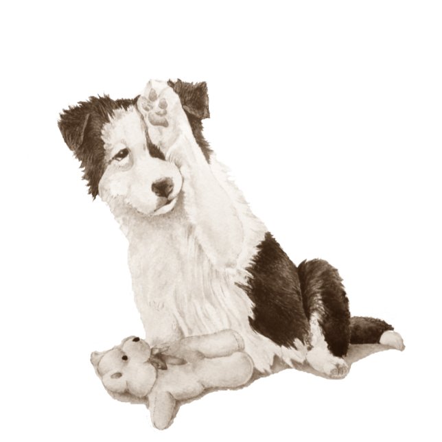 dog portrait painting of cute border collie puppy watch (Creator Uploaded)