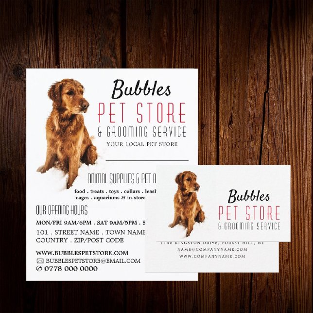 Dog Portrait, Pet Store & Groomers Advertising Flyer (Creator Uploaded)