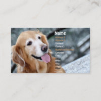 Dog Portrait/Smiling Golden Retriever Photography