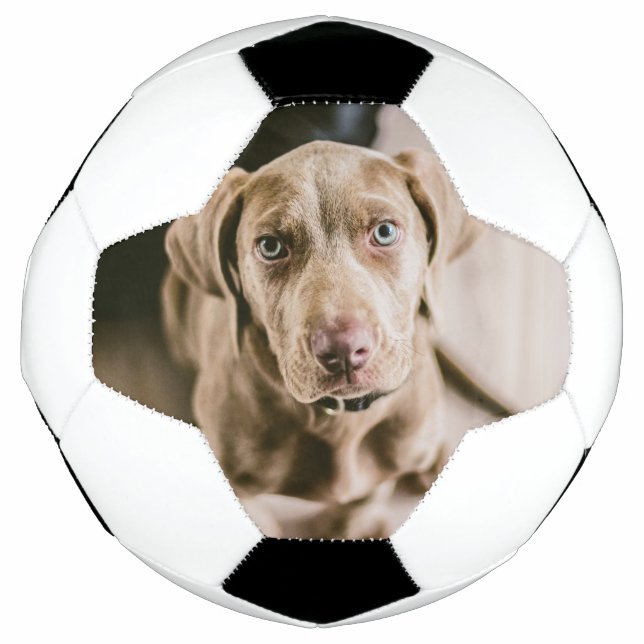 Dog portrait soccer ball (Front)