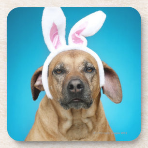 Dog portrait wearing Easter bunny ears Coaster