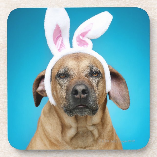 Dog portrait wearing Easter bunny ears Coaster (Front)