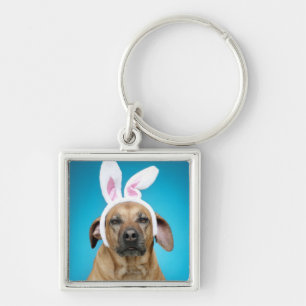 Dog portrait wearing Easter bunny ears Key Ring
