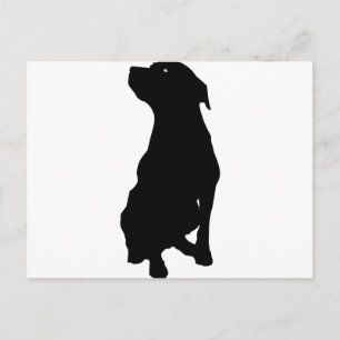 Dog Postcard