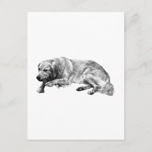 Dog Postcard Delivers Relaxed Creative News
