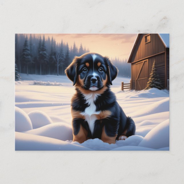 Dog Postcard Series 6 07 (Front)