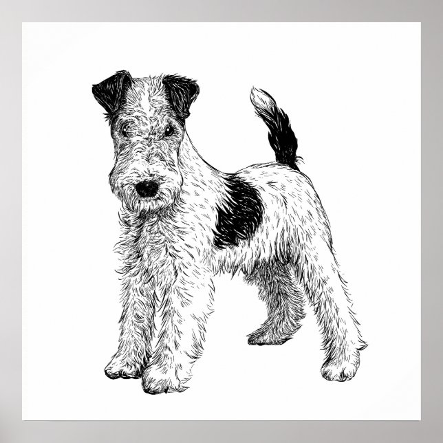 Dog Poster / Wall Art Fox Terrier (Front)