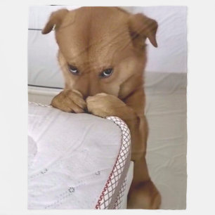 DOG PRAYING FLEECE BLANKET