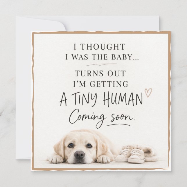 Dog Pregnancy Announcement Card (Front)