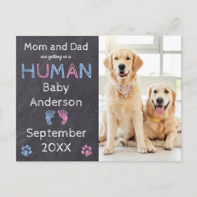 Dog Pregnancy Announcement Postcard (Front)