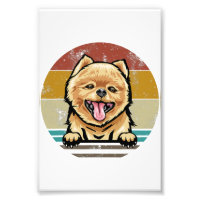 Dog Premium Satin Photo Paper Photo Enlargement