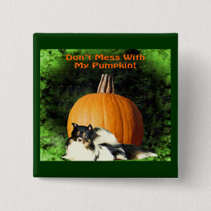 Dog Protecting Large Pumpkin 15 Cm Square Badge
