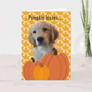 Dog Pumpkin Kisses Thanksgiving Card
