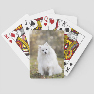 Dog Puppy Canine White Dog Fur Playing Cards