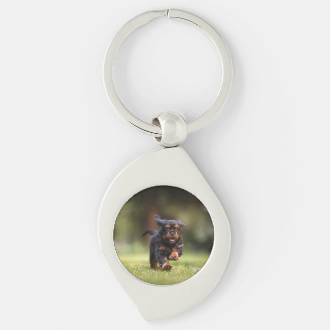 Dog, Puppy, Cavalier Key Ring (Front)
