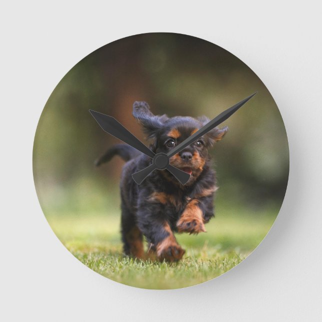 Dog, Puppy, Cavalier Round Clock (Front)
