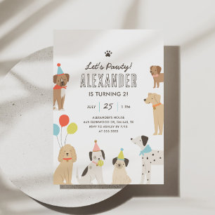 Dog Puppy Let's Pawty Birthday Invitation