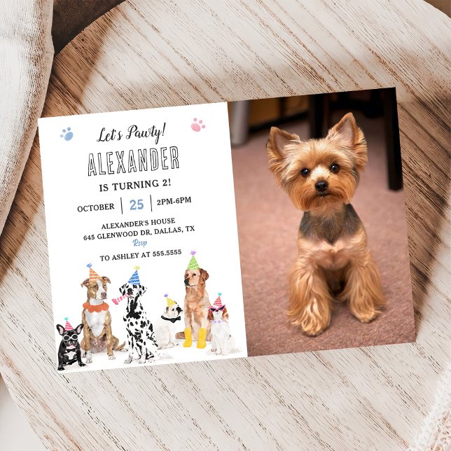 Dog Puppy Let's Pawty Birthday Party Photo Invitation (Creator Uploaded)
