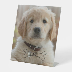 DOG PUPPY PHOTO NAME BONE BEST DOG MOM DAD TRENDY PEDESTAL SIGN