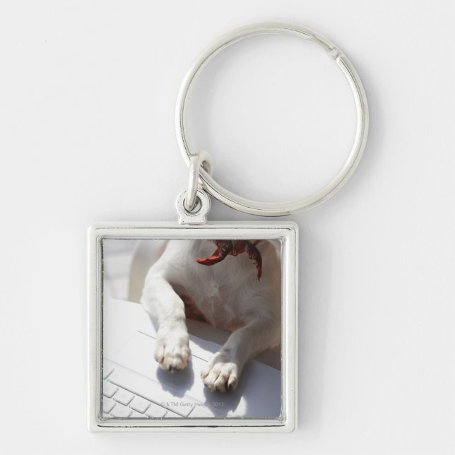 Dog putting his hands on a laptop key ring (Front)