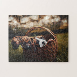 Dog Puzzles Animal Pic Cute Sad Puppy Puppy Photog