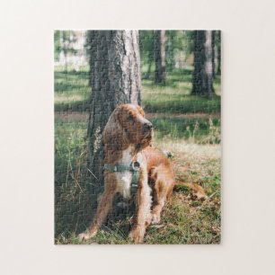 Dog Puzzles Animal Pic Cute Sad Puppy Puppy Photog