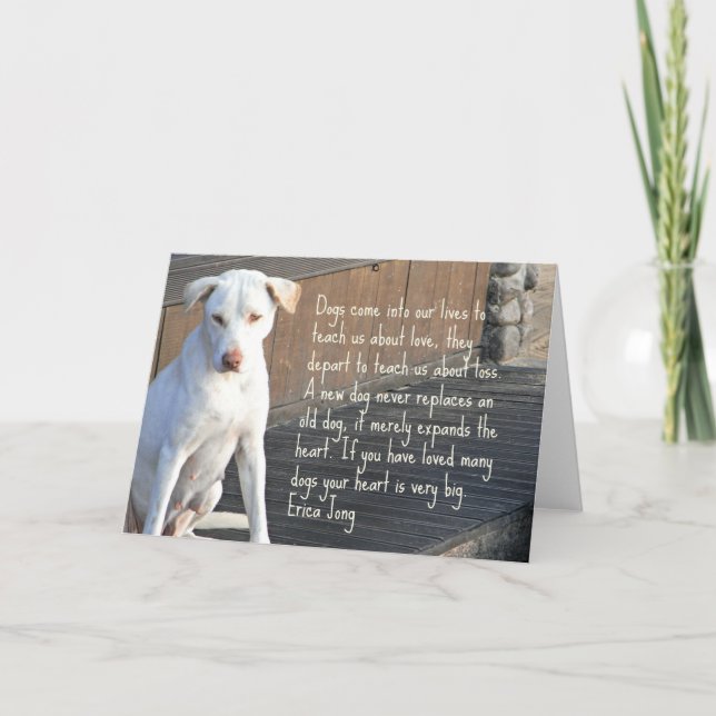 Dog Quotation Card (Front)