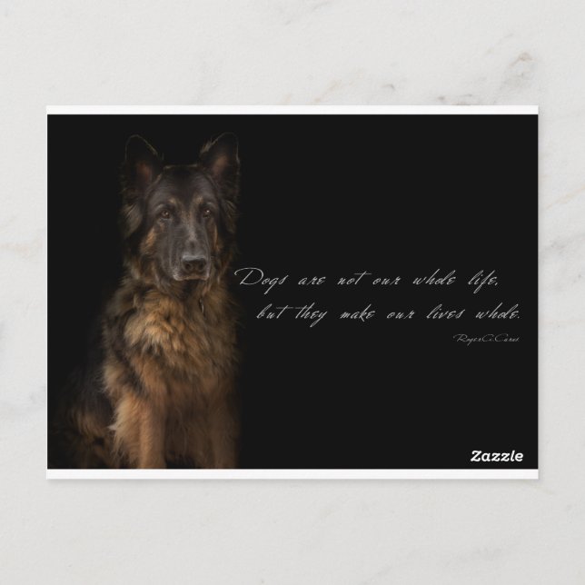 "dog quotes" postcard (Back)