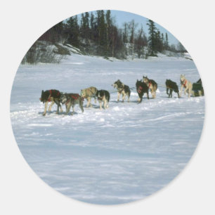 Dog racing, Yukon Classic Round Sticker