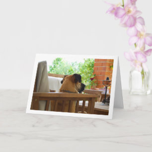 Dog Resting in Chair Portrait Card