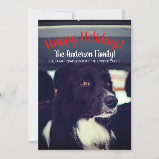 Dog Riding In Car Family Holiday Card (Front)