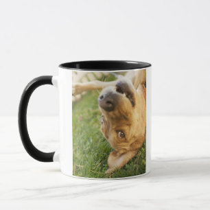 Dog rolling on back mug