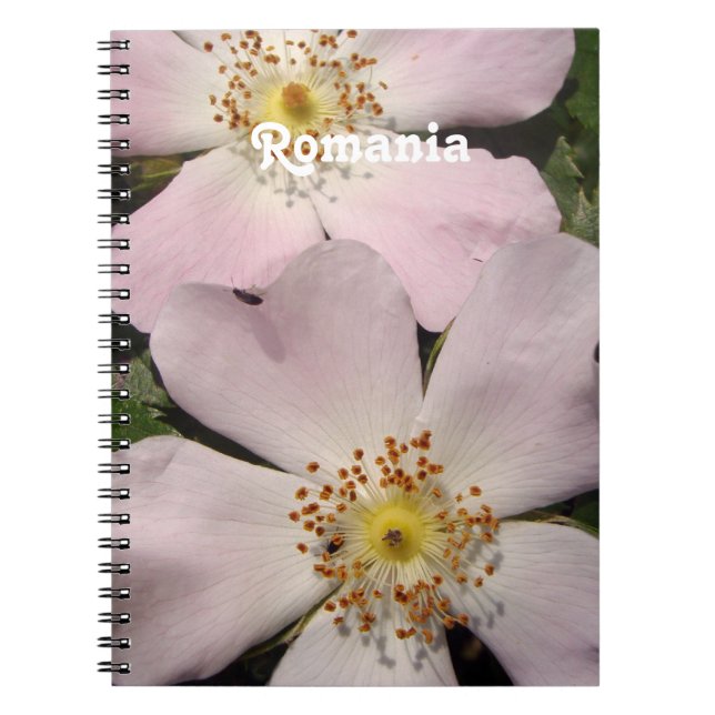 Dog Rose Notebook (Front)
