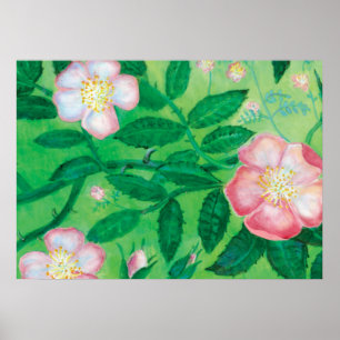 Dog Rose (Rosa Canina) Poster
