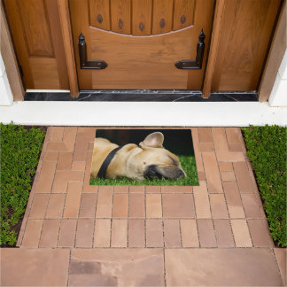 Dog rug for home