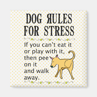Dog Rules for Stress Magnet