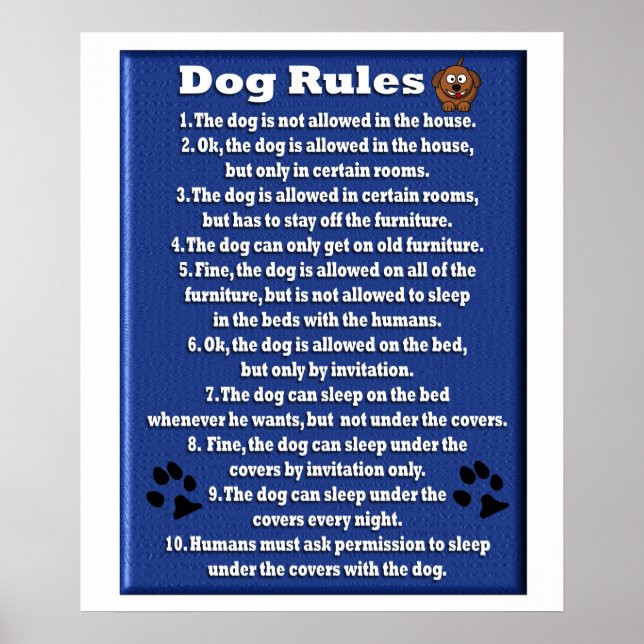 Dog Rules - Poster (Front)