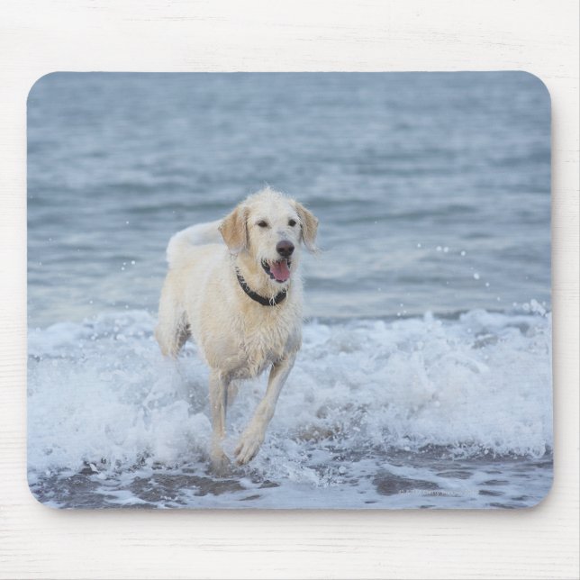 Dog running in water at beach. mouse pad (Front)