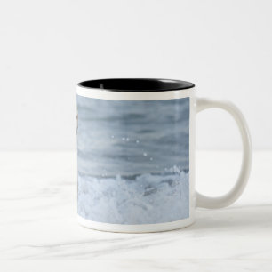 Dog running in water at beach. Two-Tone coffee mug
