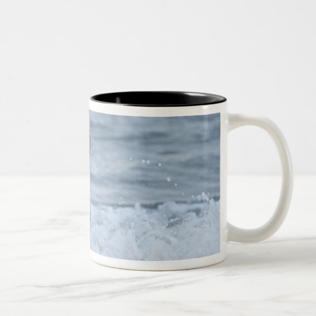 Dog running in water at beach. Two-Tone coffee mug (Right)