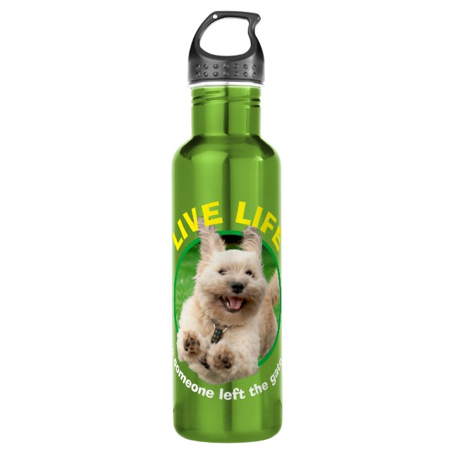 Dog Running In Yard 710 Ml Water Bottle (Front)