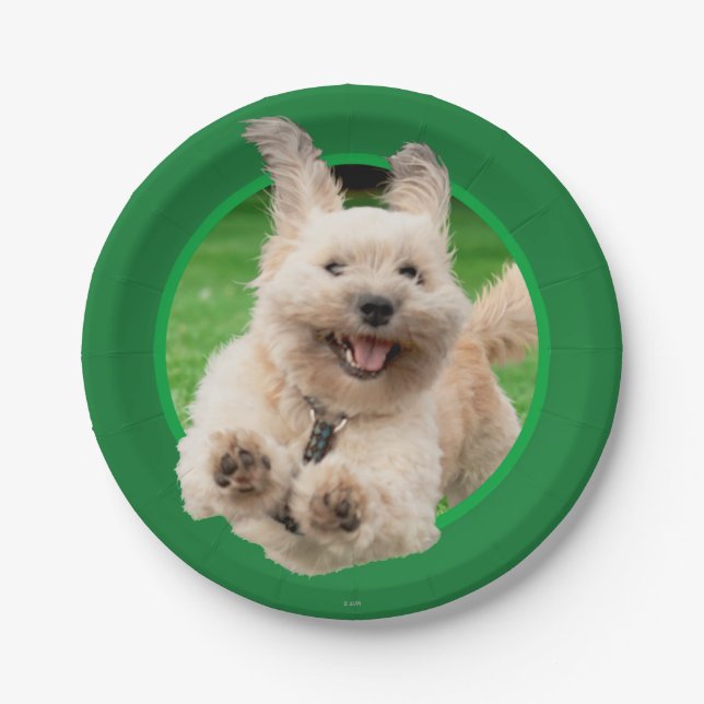 Dog Running In Yard Paper Plate (Front)